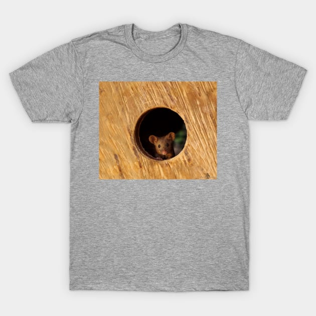 George the mouse in a log pile House mouse in hole T-Shirt by Simon-dell